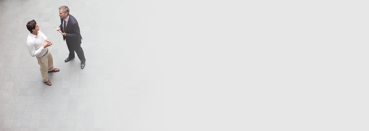 Ευέλικτη εταιρική σχέση